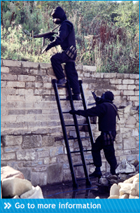 Single Section Ladder