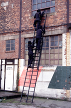 Triple Stile Assault Ladder